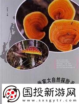 探索神秘真菌世界的全方位實用攻略指南助你輕松暢玩