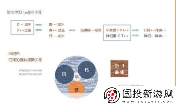鈣元素的奧秘
