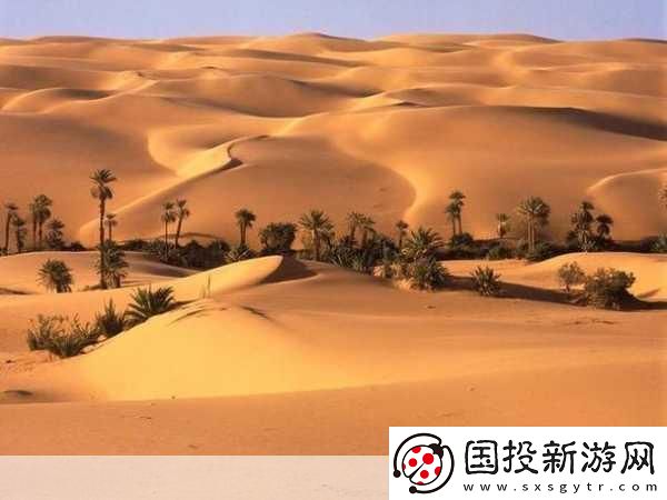 歐美無(wú)人區(qū)碼卡二卡3卡2022：當(dāng)然可以