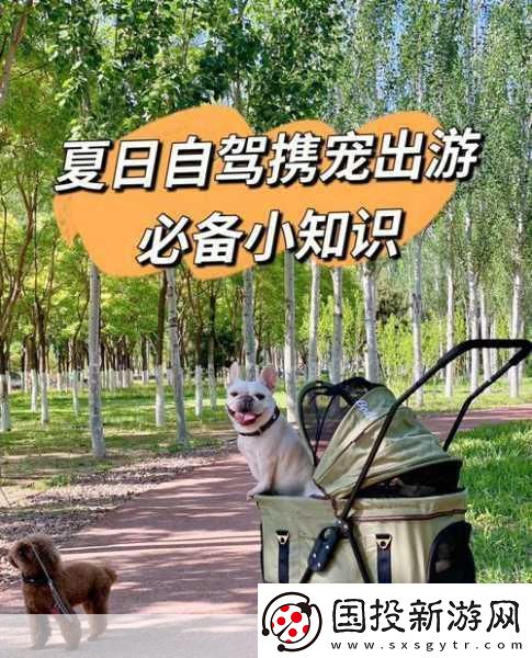 小汪汪攜寵漫步新體驗(yàn)-驚喜連連-散步玩法全面進(jìn)化