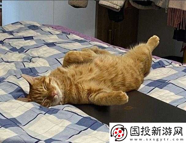 睡覺感覺有一股很強(qiáng)的吸力：原因何在